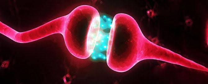 Sustancias químicas creadas por el cuerpo que transmiten señales (es decir, información) desde una neurona hasta la siguiente