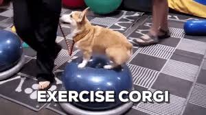 Ok first of all, no shade to how to lose a guy in 10 days. 7 Foolproof Tips To Help Your Dog Lose Weight Safely