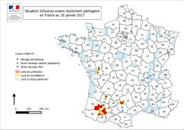 Cette obligation a été fixée par l'arrêté du 24 février 2006 relatif au recensement des oiseaux détenus par toute personne physique ou morale en vue de la prévention et de la lutte contre l'influenza aviaire. Grippe Aviaire Quels Sont Les Risques Pour L Homme Sante Sur Le Net