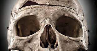 صور جماجم مرعبة جدا 2019 خلفيات جماجم نارية كيوت ملونه hd 5 skull anatomy real skull skull reference