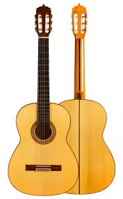 Image result for eustoma flamenco