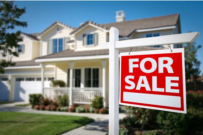 Real Estate and Property Development