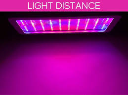 Check spelling or type a new query. How Long Should You Leave Grow Lights On Greenhouse Today
