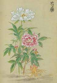 秋色波连波的相册 一本中药材图谱的古书 japanese art asian art nature inspiration