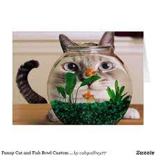 Funny Cat And Fish Bowl Custom Greeting Card Crazy Cats Kittens Funny Cats