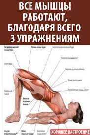 что делать при выпадении волос из за гормонального сбоя Vse Myshcy Rabotayut Blagodarya Vsego 3 Uprazhneniyam Gym Workout Tips Health Fitness Keep Fit