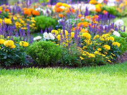 Add some drama to your flower bed design by incorporating a slanted base. Flower Gardening How To Start A Flower Garden