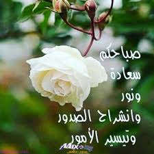 صور صباح الخير 2020 اجمل صور صباح الخير 2020