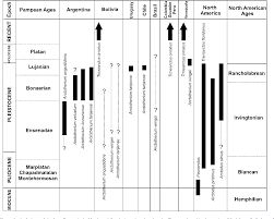 Figure 2 From The Fossil Record Of South American Short