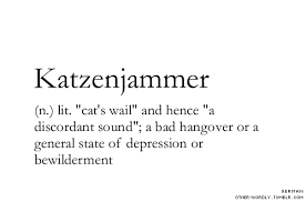 Pronunciation Kaht Zen Ya Mer Katzenjammer German Noun Hangover Cat Cat S Wail Sound Noise Unusual Words Weird Words Words