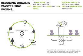 Pin By Andres Paez On Garden Dreams Compost Worm Composting Biodome