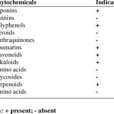 Image result for Chasmanthera dependens