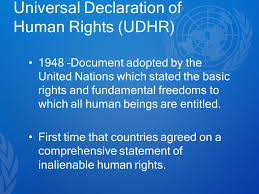Image result for Human rights are universal