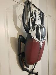 In this guide, we'll show you how, when, and where to catch every bug. I Made A Goliath Beetle Bag I Was Art By Silja Parri Facebook