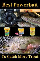 Best Powerbait For Trout Fishing When And How To Use Each Option In 2021 Trout Fish Brown Trout