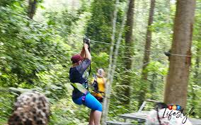 A massive bridge suspended high over the beautiful mountains of langkawi, malaysia over looking the ocean and greenery that goes further then the eye can see. Fly Through The Air At The Sungai Congkak Skytrex Free Malaysia Today Fmt