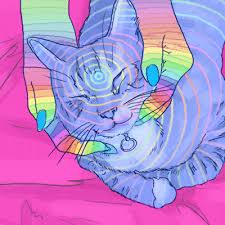 Pin By Brittney Isphording On Colores Psychedelic Art Cat Art Hippie Art