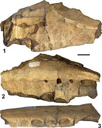 Image result for Light Sandstone 1986 Fleet