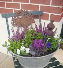 Pin Von Eliane Muller Auf Zinc Au Jardin Winterpflanzen Garten Deko Topfgarten