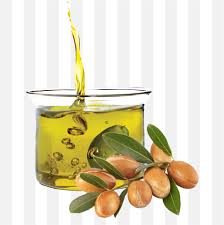 argan yağı ile ilgili görsel sonucu