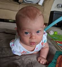 I think my little girl is part Romulan...