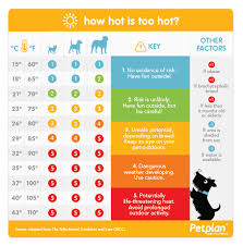 Our content is free because we may earn a commission when you click or make a purchase using our site. Petplan Pet Insurance On Twitter It S Going To Be Hot This Week Is It Too Hot For Your Dog Use This Warm Weather Safety Chart To Find Out Https T Co Tlwomxynxv Https T Co Rf2pmzclwd