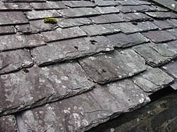 Image result for Slate Grey 1996 CIL
