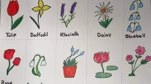 For many artists, pencil drawing is the skill that introduced them to the art world, and even if you've moved on to a different medium, understanding how to draw with a pencil can help you improve your skills elsewhere. How To Draw Different Types Of Flowers How To Draw Coloring Flowers For Kids Learn Flower Names Youtube