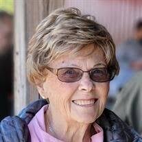 Susan Jane Ulmer Obituary