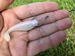 Determine how far you want your bait to present from the bottom and then measure twice that length of line. Drop Shot For Speckled Trout Parts You Need How To Tie It
