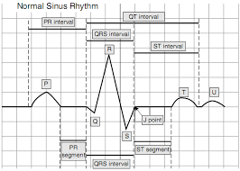 Our porno collection is huge and it's constantly growing. Pr Slot