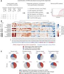 Cells Alter Their Trna Abundance To Selectively Regulate