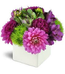 View more property details, sales history and zestimate data on zillow. Hello Dahlias Phoenix Az Florist