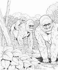 Coloring Toy Story 4 Fresh Coloring Pages Gorillas Unique Gorilla Coloring Page Forest Coloring Pages Animal Coloring Pages Coloring Pages