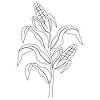 In the fall of 1855, he sold just two ears of seed corn to a close friend for four dollars, on the agreement that the seed was for personal use only. 1