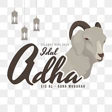 Choose from 100+ aidil adha graphic resources and download in the form of png, eps, ai or psd. Aidil Adha Png Png Free Aidil Adha Png Png