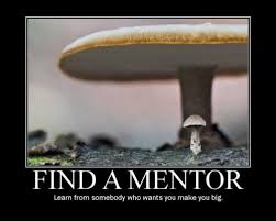 Image result for Image quotes on mentoring