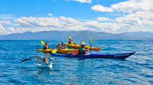 Oceankayak.co.nz is tracked by us since november, 2019. Sea Kayaking In New Zealand Kayak New Zealand