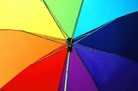 These communities generally celebrate pride, diversity, individuality, and sexuality. Council To Find Ways For Programs More Inclusive Of Lgbtiq Community