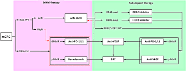 The colon is the final part of the digestive tract. Comprehensive Review Of Targeted Therapy For Colorectal Cancer Signal Transduction And Targeted Therapy