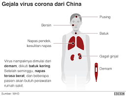 Gejala ini bisa mirip dengan flu biasa. Virus Corona Seperti Apa Gejala Covid 19 Dan Penjelasan Dokter Soal Penyebaran Dan Penyembuhan Bbc Tempo Co