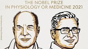 US duo Julius and Patapoutian win 2021 Nobel Prize in medicine