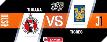 Calendario de futbol mexicano apertura 2021, liga bbva, premier league, calcio, resultados, posiciones y estadisticas jornada a jornada Tzf1qk2crrgjhm