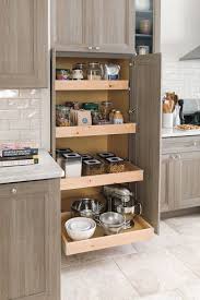 9 These Built In Roll Trays Are A Great Way To Keep Your Pantry Efficient And Organized Your Home Depot D Kitchen Remodel Kitchen Remodel Small Kitchen Layout