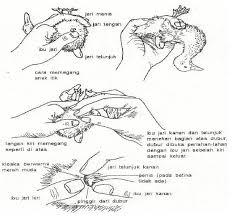 Pengolahan limbah keras anorganik mempunyai sifat padat, keras dan sulit untuk diurai, salah satu contoh limbah keras anorganik yang sifatnya padat d … an keras adalah.a. Cara Membedakan Itik Bebek Jantan Dan Betina Ilmu Ternak