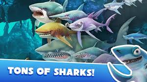 *** köpek balıkları, hungry shark evolution'ın daha büyük devam oyunuyla geri döndü! Hungry Shark World 4 2 0 Para Hileli Mod Apk Indir Apk Dayi Android Apk Indir