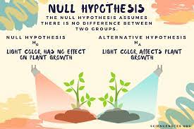Null Hypothesis Examples