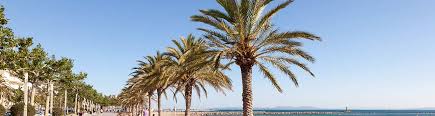 Nous vous proposons nos cartes satellite et radar de pluie sur rosas et ses environs. 3 386 Locations Vacances Airbnb A Rosas Des 9