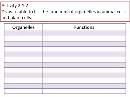 The name organelle comes from the idea that these structures are parts of cells. What Is Cell Cell Is The Basic Unit