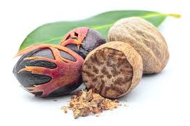 Image result for Myristicaceae